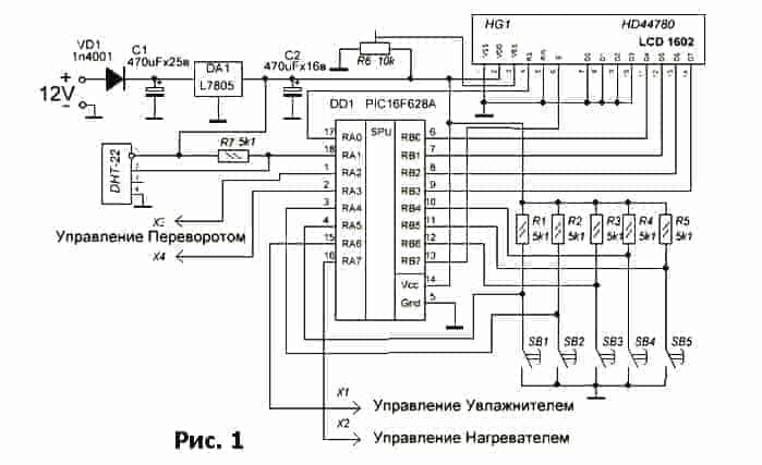 Как самому сделать инкубатор для яиц